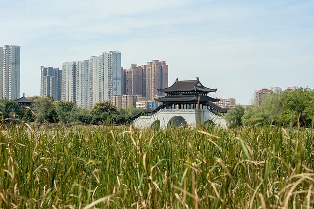 large apartment buildings in city